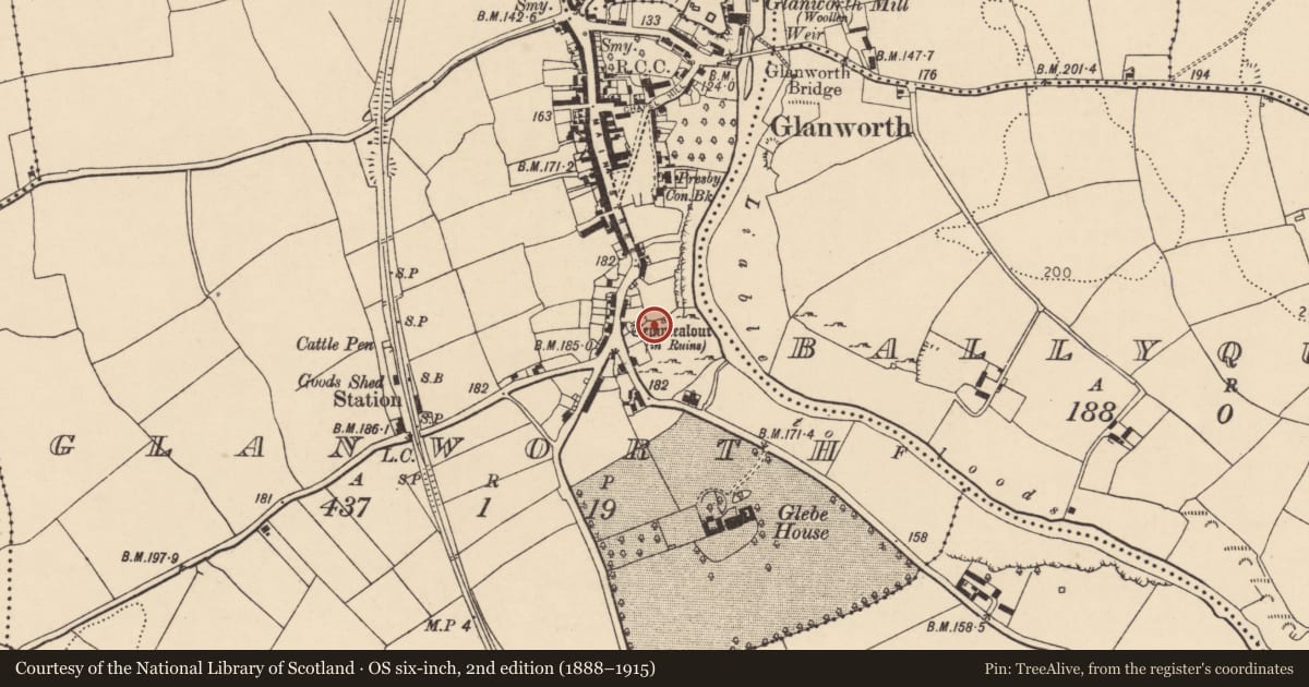 Ordnance Survey six-inch map, 2nd edition (1888–1915) covering the location of Graveyard, Glanworth, County Cork, with a pin at the register's coordinates
