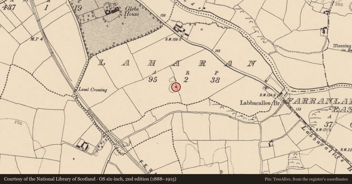Ordnance Survey six-inch map, 2nd edition (1888–1915) covering the location of Ringfort - rath, Laharan, County Cork, with a pin at the register's coordinates
