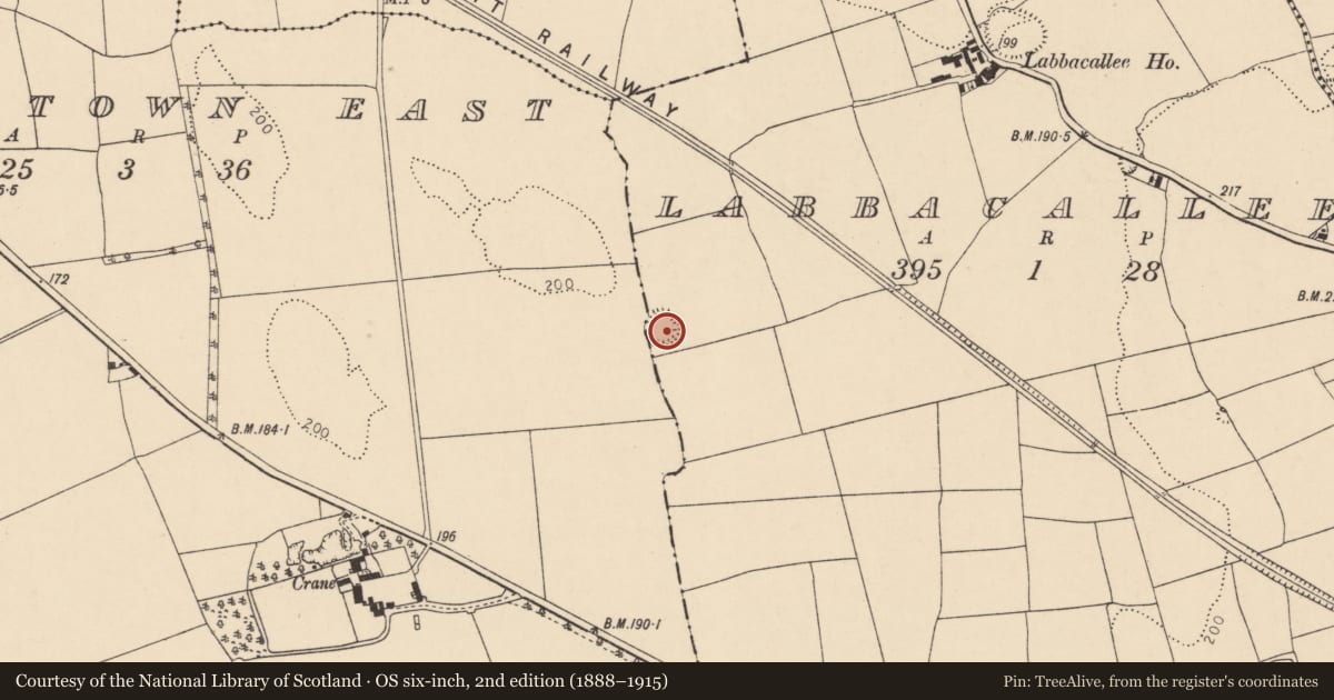 Ordnance Survey six-inch map, 2nd edition (1888–1915) covering the location of Ringfort - rath, Labbacallee, County Cork, with a pin at the register's coordinates
