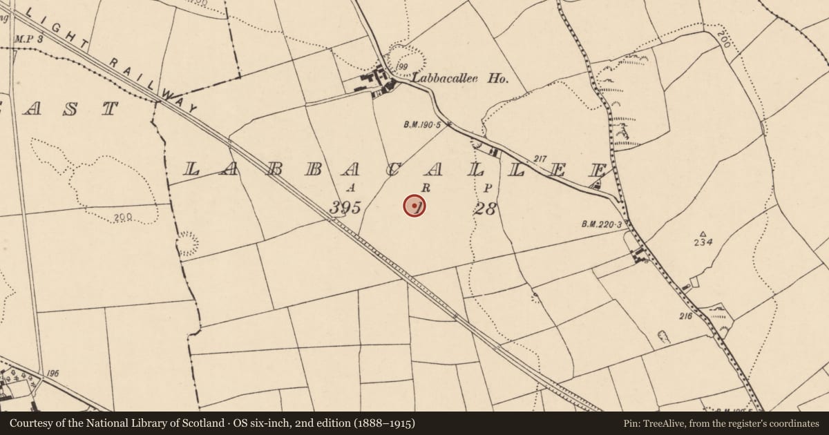 Ordnance Survey six-inch map, 2nd edition (1888–1915) covering the location of Ringfort - rath, Labbacallee, County Cork, with a pin at the register's coordinates