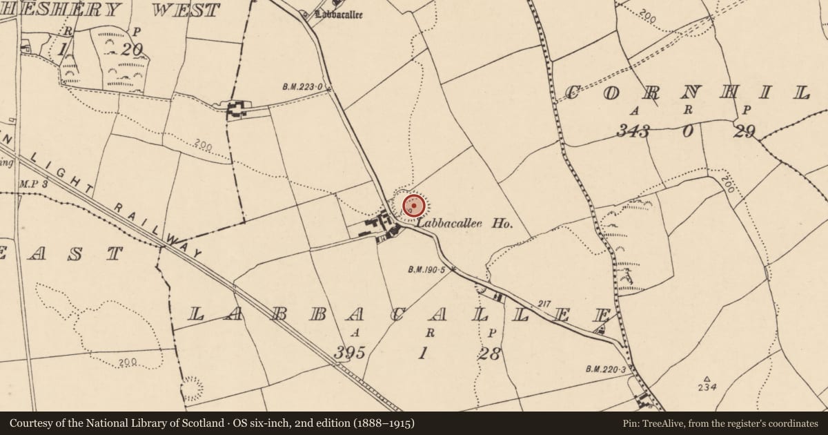 Ordnance Survey six-inch map, 2nd edition (1888–1915) covering the location of Ringfort - rath, Labbacallee, County Cork, with a pin at the register's coordinates