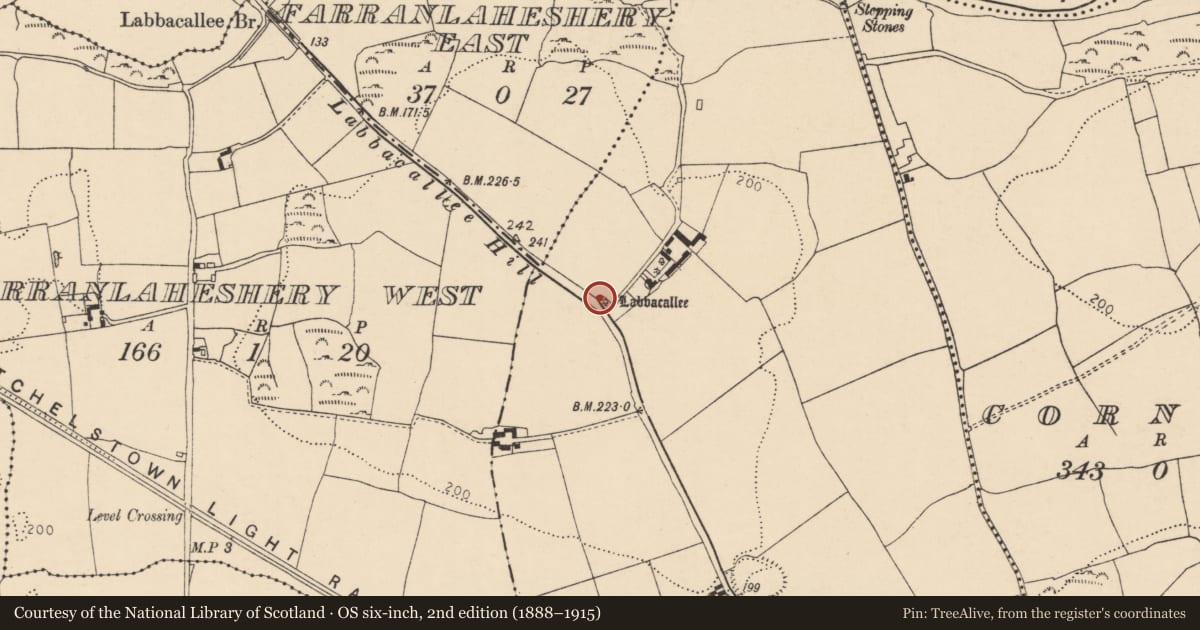 Ordnance Survey six-inch map, 2nd edition (1888–1915) covering the location of Megalithic tomb - wedge tomb, Labbacallee, County Cork, with a pin at the register's coordinates