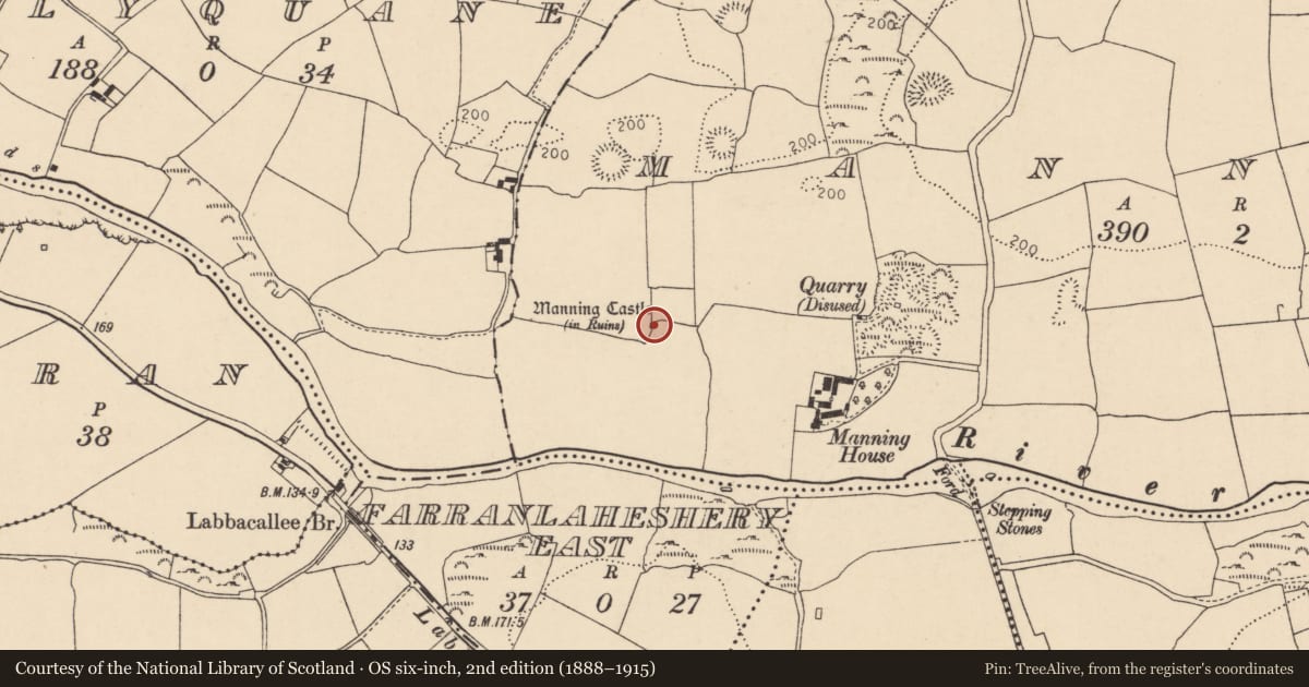 Ordnance Survey six-inch map, 2nd edition (1888–1915) covering the location of Castle - tower house, Manning, County Cork, with a pin at the register's coordinates
