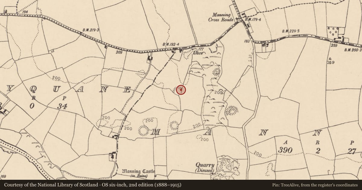 Ordnance Survey six-inch map, 2nd edition (1888–1915) covering the location of Ringfort - rath, Manning, County Cork, with a pin at the register's coordinates