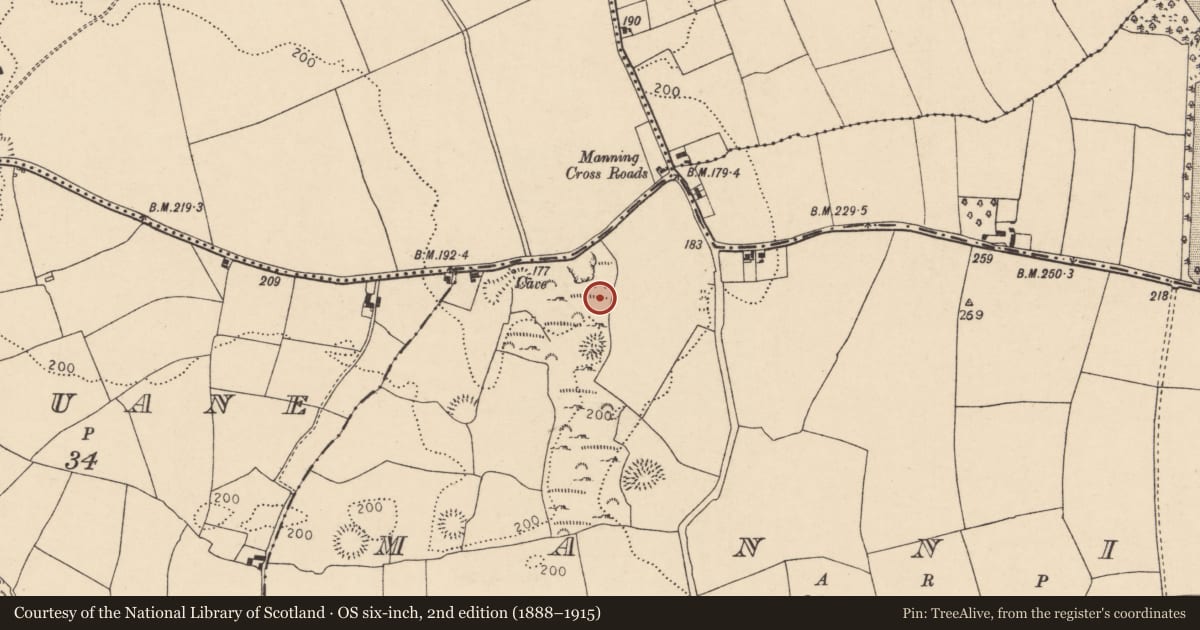 Ordnance Survey six-inch map, 2nd edition (1888–1915) covering the location of Megalithic tomb - wedge tomb, Manning, County Cork, with a pin at the register's coordinates