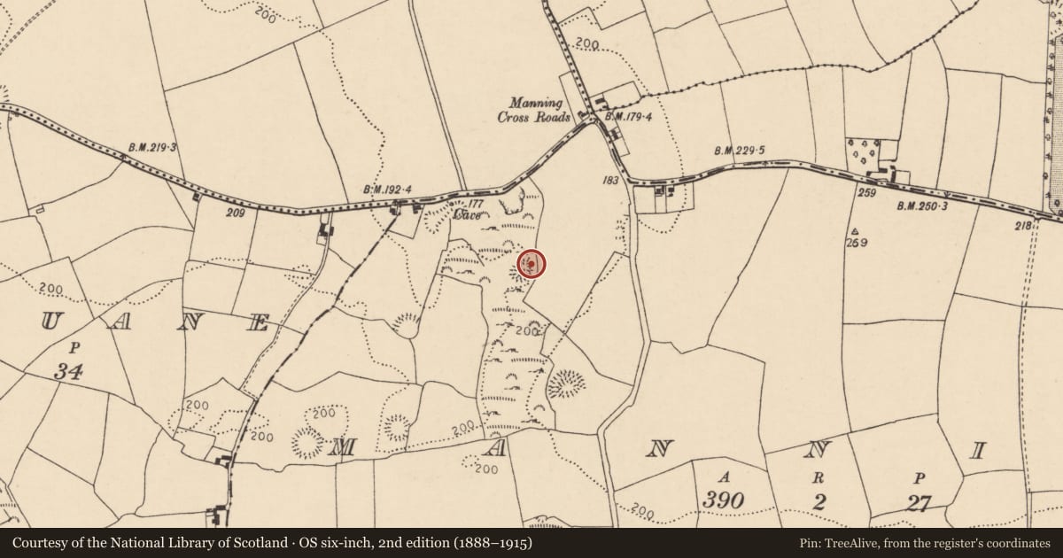 Ordnance Survey six-inch map, 2nd edition (1888–1915) covering the location of Ringfort - rath, Manning, County Cork, with a pin at the register's coordinates