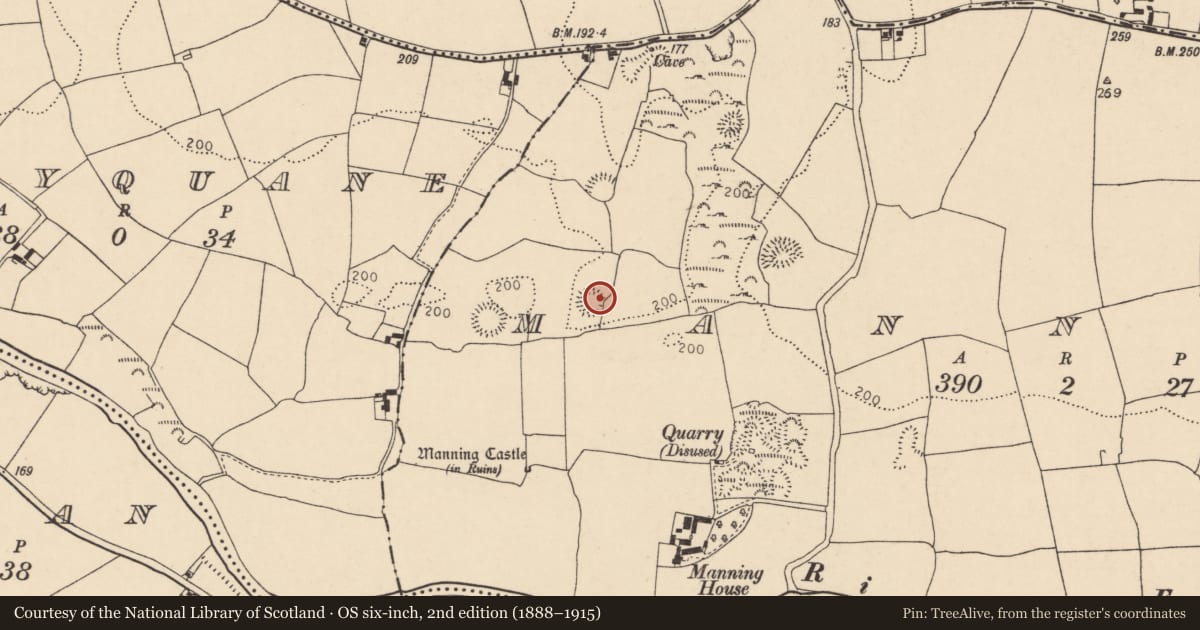 Ordnance Survey six-inch map, 2nd edition (1888–1915) covering the location of Ringfort - rath, Manning, County Cork, with a pin at the register's coordinates