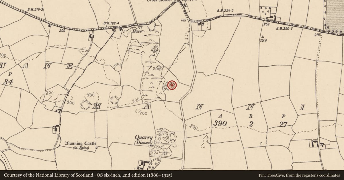 Ordnance Survey six-inch map, 2nd edition (1888–1915) covering the location of Ringfort - rath, Manning, County Cork, with a pin at the register's coordinates