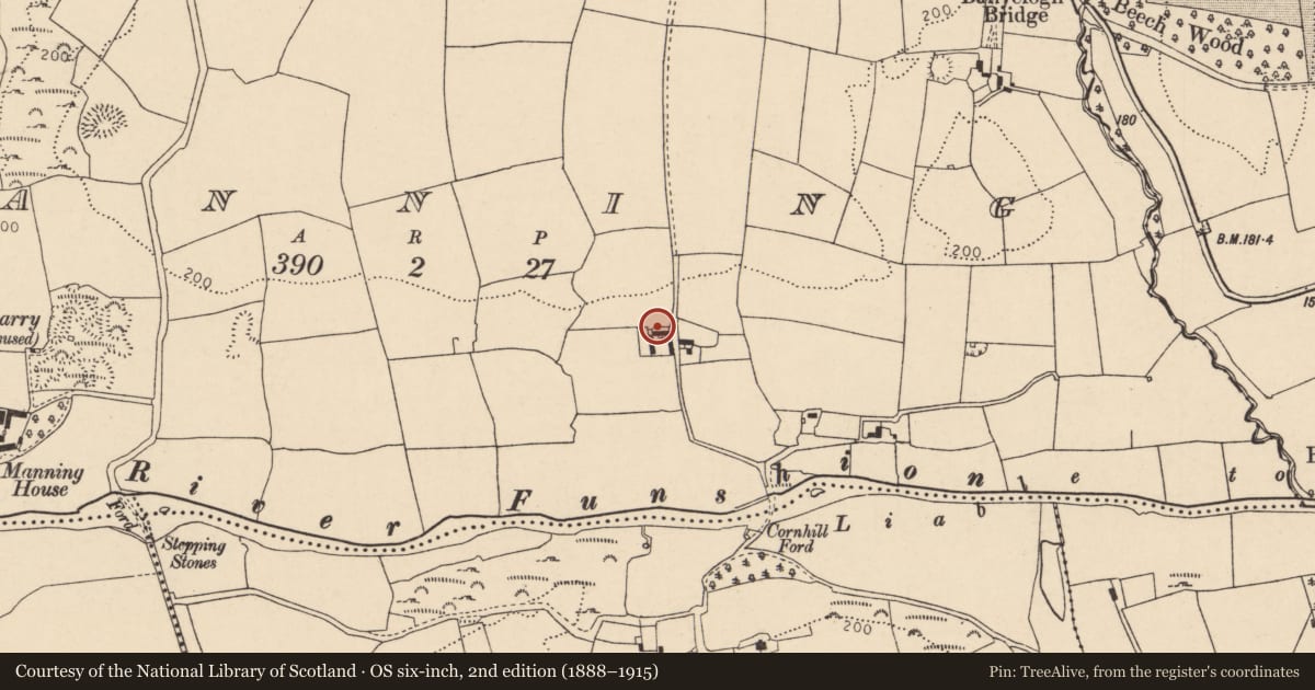 Ordnance Survey six-inch map, 2nd edition (1888–1915) covering the location of Kiln - lime, Manning, County Cork, with a pin at the register's coordinates