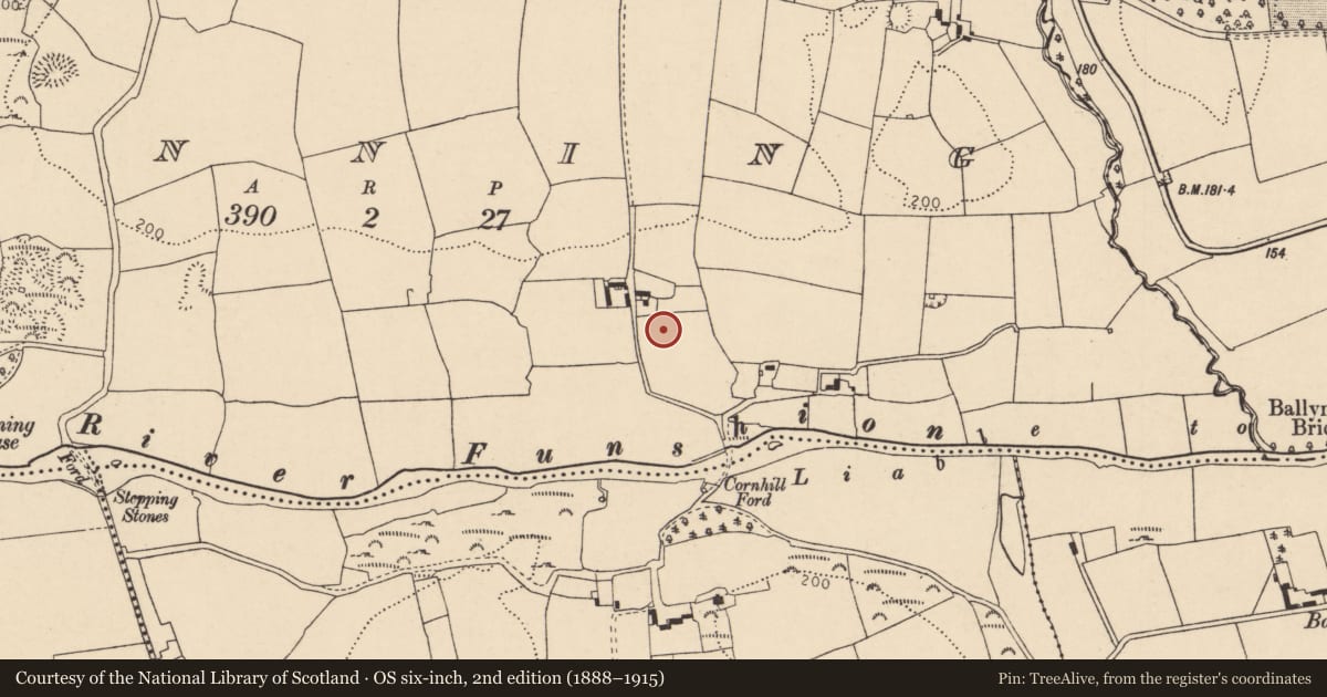 Ordnance Survey six-inch map, 2nd edition (1888–1915) covering the location of Burial ground, Manning, County Cork, with a pin at the register's coordinates