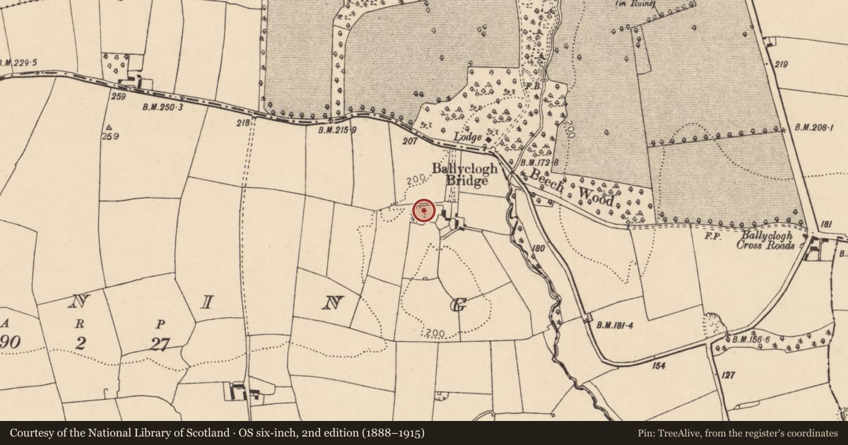 Ordnance Survey six-inch map, 2nd edition (1888–1915) covering the location of Enclosure, Manning, County Cork, with a pin at the register's coordinates
