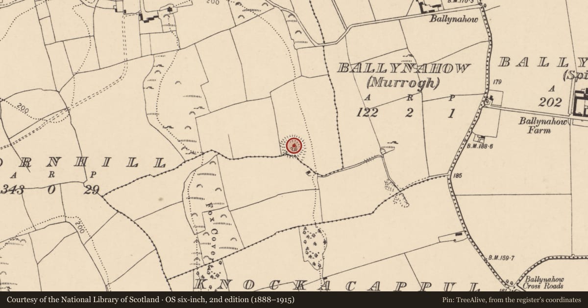 Ordnance Survey six-inch map, 2nd edition (1888–1915) covering the location of Ringfort - rath, Cornhill, County Cork, with a pin at the register's coordinates