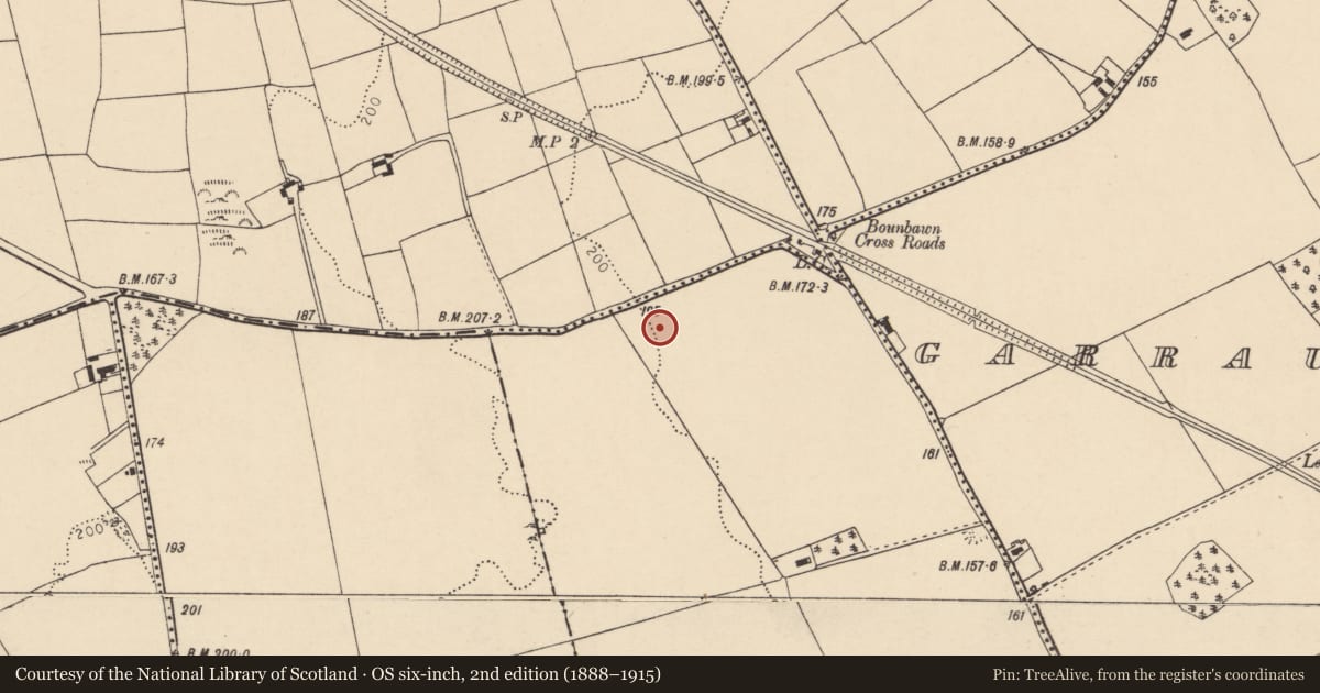 Ordnance Survey six-inch map, 2nd edition (1888–1915) covering the location of Cist, Sheepwalk East, County Cork, with a pin at the register's coordinates