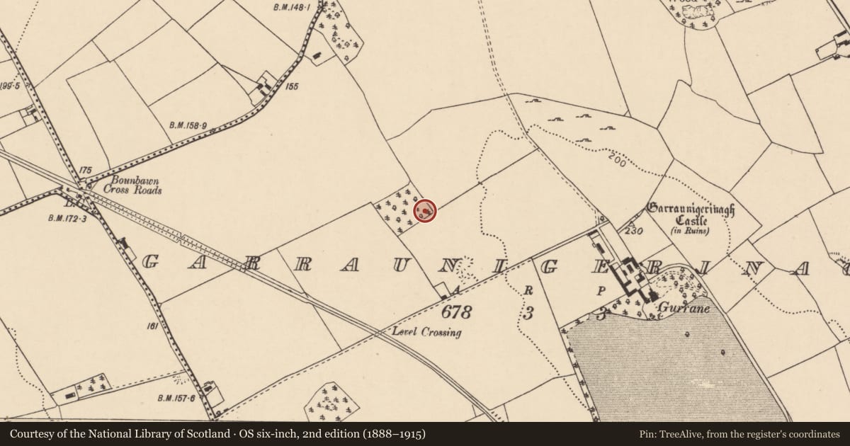 Ordnance Survey six-inch map, 2nd edition (1888–1915) covering the location of Enclosure, Garraunigerinagh, County Cork, with a pin at the register's coordinates