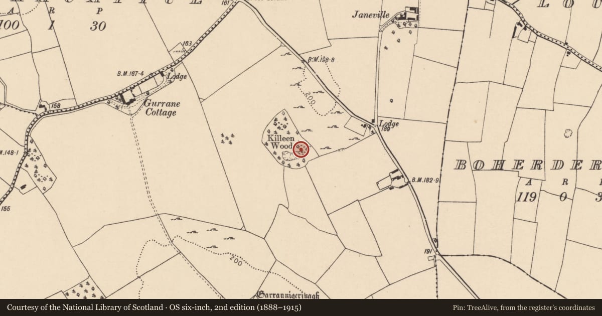 Ordnance Survey six-inch map, 2nd edition (1888–1915) covering the location of Ringfort - rath, Garraunigerinagh, County Cork, with a pin at the register's coordinates
