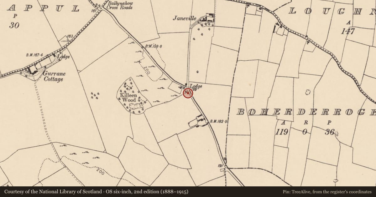 Ordnance Survey six-inch map, 2nd edition (1888–1915) covering the location of Burial, Garraunigerinagh, County Cork, with a pin at the register's coordinates