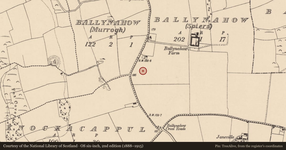 Ordnance Survey six-inch map, 2nd edition (1888–1915) covering the location of Cist, Ballynahow (Spiers), County Cork, with a pin at the register's coordinates