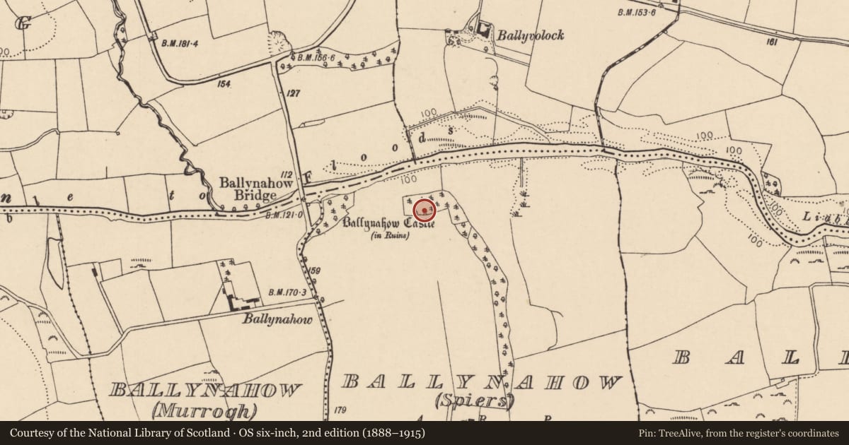 Ordnance Survey six-inch map, 2nd edition (1888–1915) covering the location of Castle - tower house, Ballynahow (Spiers), County Cork, with a pin at the register's coordinates