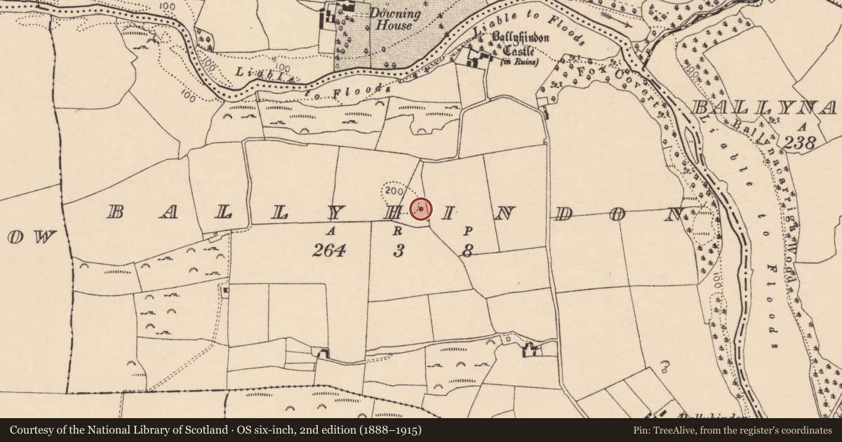 Ordnance Survey six-inch map, 2nd edition (1888–1915) covering the location of Ringfort - rath, Ballyhindon, County Cork, with a pin at the register's coordinates