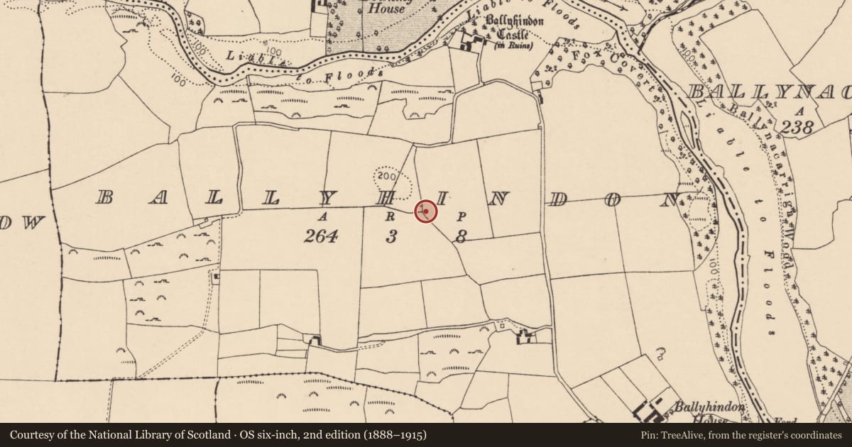 Ordnance Survey six-inch map, 2nd edition (1888–1915) covering the location of Kiln - lime, Ballyhindon, County Cork, with a pin at the register's coordinates