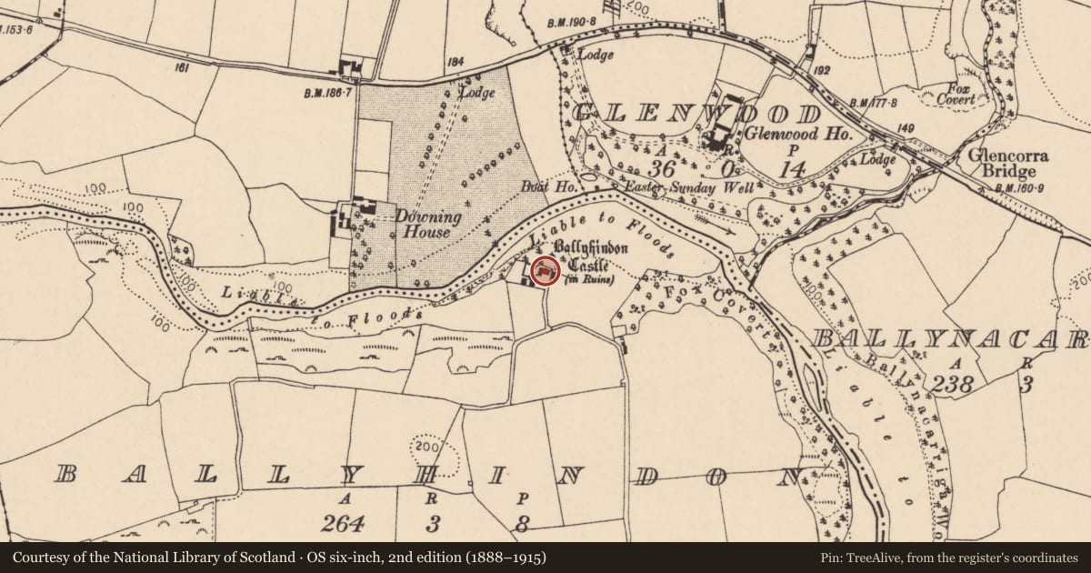Ordnance Survey six-inch map, 2nd edition (1888–1915) covering the location of Castle - unclassified, Ballyhindon, County Cork, with a pin at the register's coordinates
