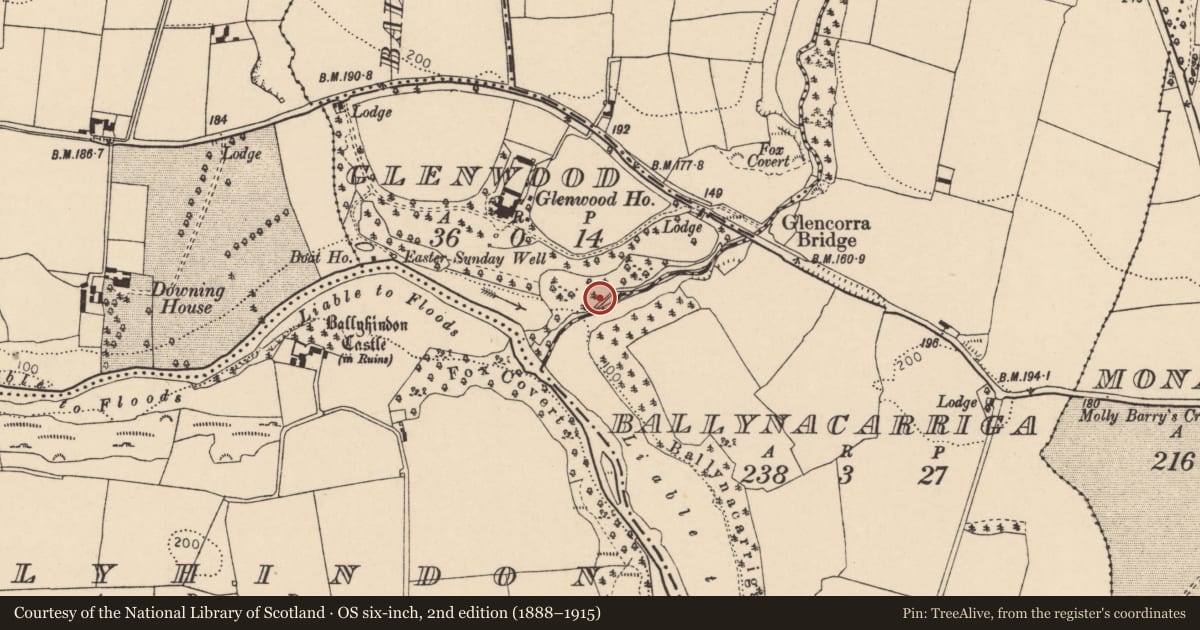 Ordnance Survey six-inch map, 2nd edition (1888–1915) covering the location of Water mill - horizontal-wheeled, Glenwood, County Cork, with a pin at the register's coordinates