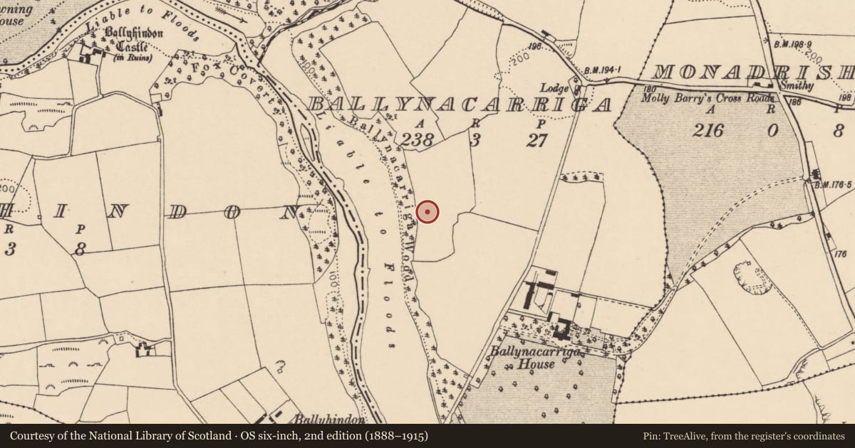 Ordnance Survey six-inch map, 2nd edition (1888–1915) covering the location of Souterrain, Ballynacarriga, County Cork, with a pin at the register's coordinates