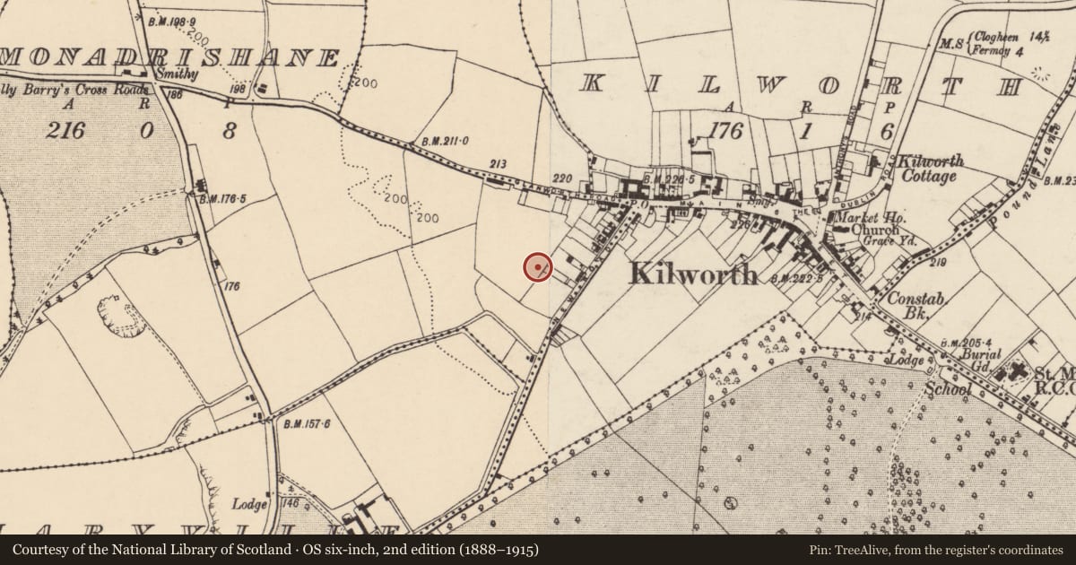 Ordnance Survey six-inch map, 2nd edition (1888–1915) covering the location of Cist, Monadrishane, County Cork, with a pin at the register's coordinates