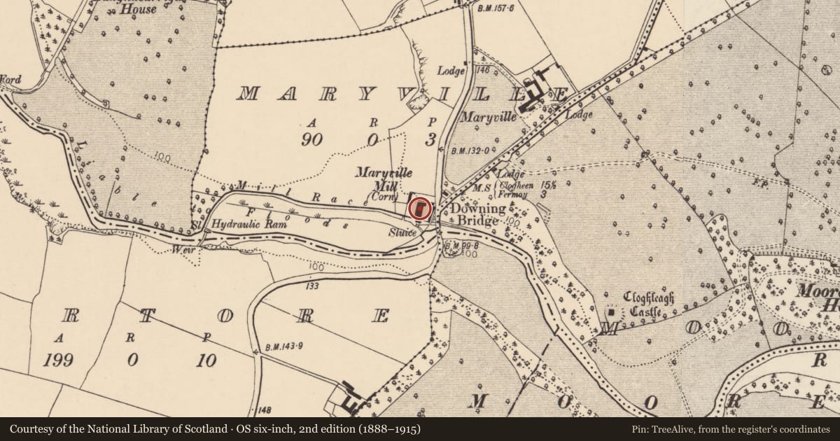 Ordnance Survey six-inch map, 2nd edition (1888–1915) covering the location of Mill - corn, Maryville, County Cork, with a pin at the register's coordinates