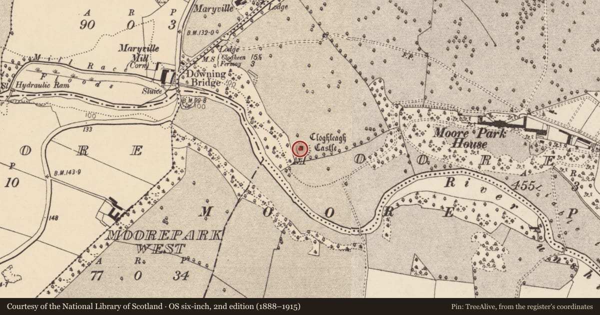 Ordnance Survey six-inch map, 2nd edition (1888–1915) covering the location of Castle - tower house, Moorepark, County Cork, with a pin at the register's coordinates
