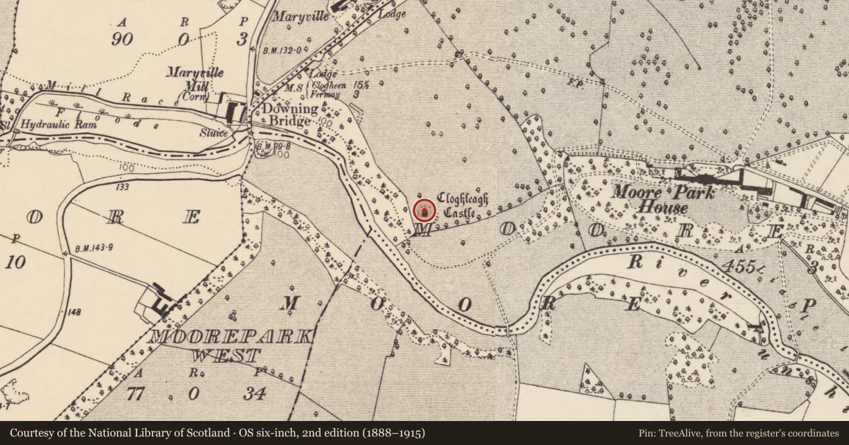 Ordnance Survey six-inch map, 2nd edition (1888–1915) covering the location of Bawn, Moorepark, County Cork, with a pin at the register's coordinates