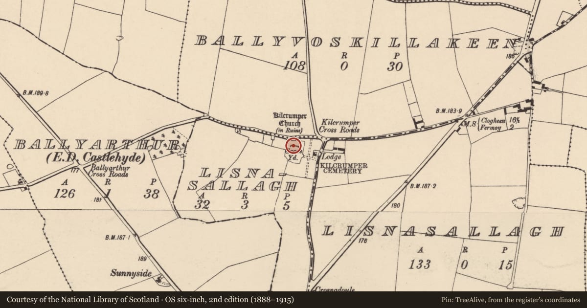 Ordnance Survey six-inch map, 2nd edition (1888–1915) covering the location of Church, Lisnasallagh, County Cork, with a pin at the register's coordinates