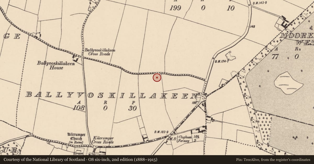 Ordnance Survey six-inch map, 2nd edition (1888–1915) covering the location of Souterrain, Ballyvoskillakeen, County Cork, with a pin at the register's coordinates