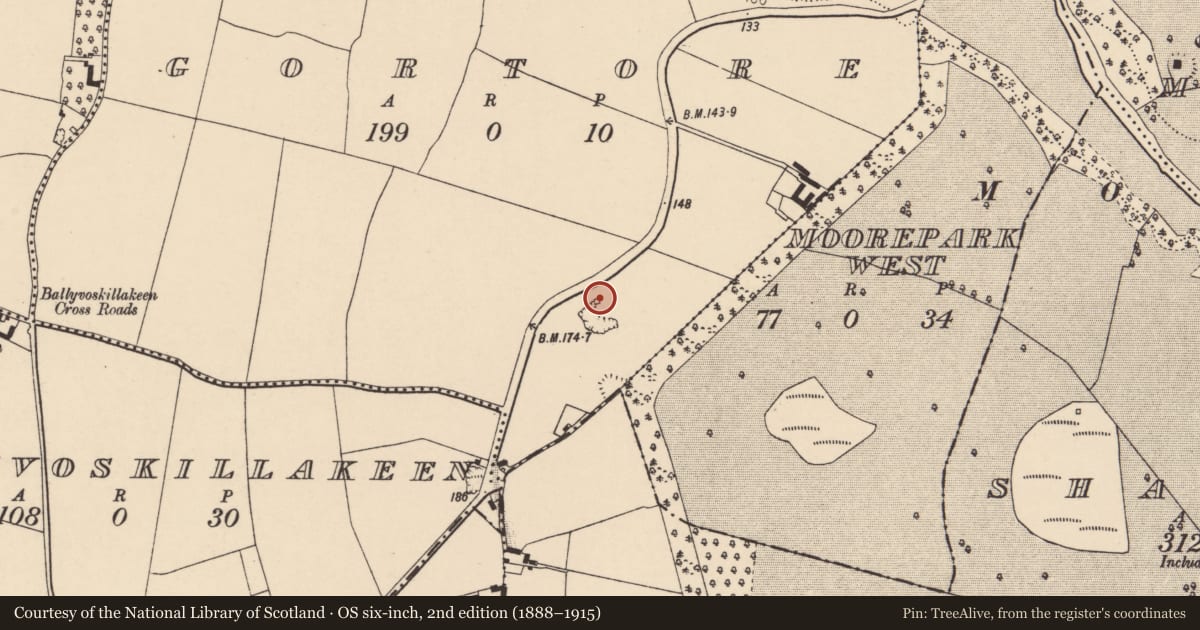 Ordnance Survey six-inch map, 2nd edition (1888–1915) covering the location of Kiln - lime, Gortore, County Cork, with a pin at the register's coordinates