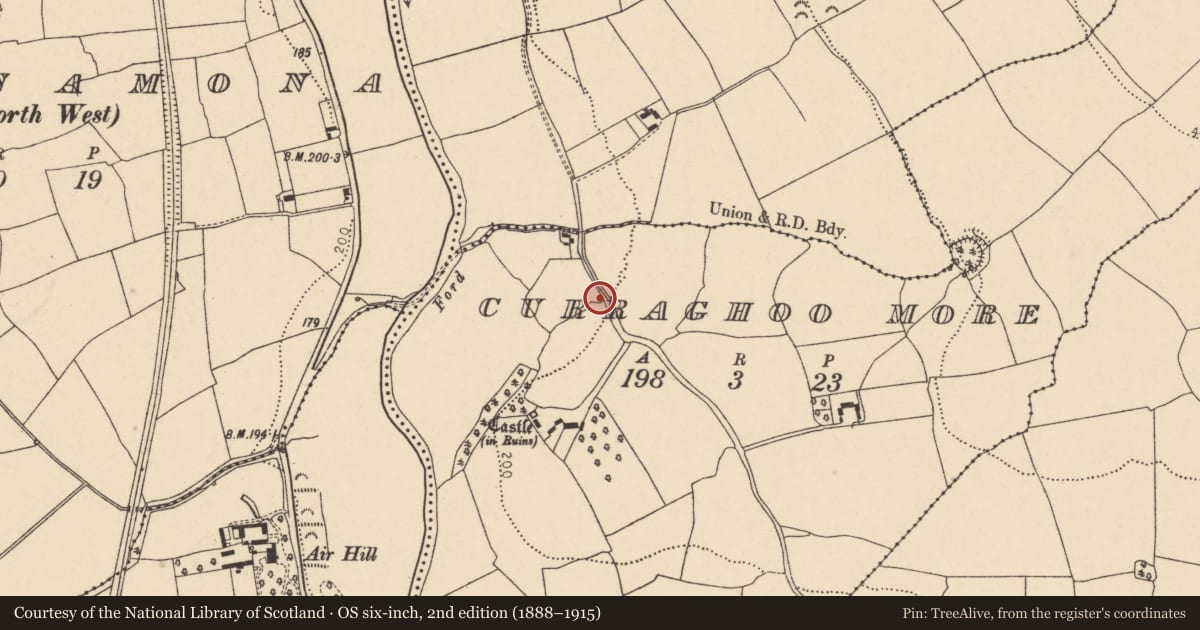 Ordnance Survey six-inch map, 2nd edition (1888–1915) covering the location of Ringfort - rath, Curraghoo More, County Cork, with a pin at the register's coordinates