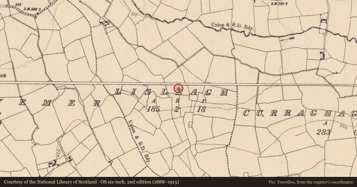 Ordnance Survey six-inch map, 2nd edition (1888–1915) covering the location of Fulacht fia, Lisleagh, County Cork, with a pin at the register's coordinates