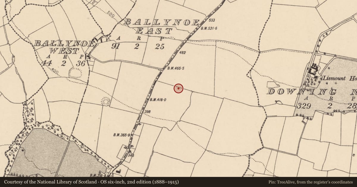 Ordnance Survey six-inch map, 2nd edition (1888–1915) covering the location of Fulacht fia, Ballyclogh, County Cork, with a pin at the register's coordinates