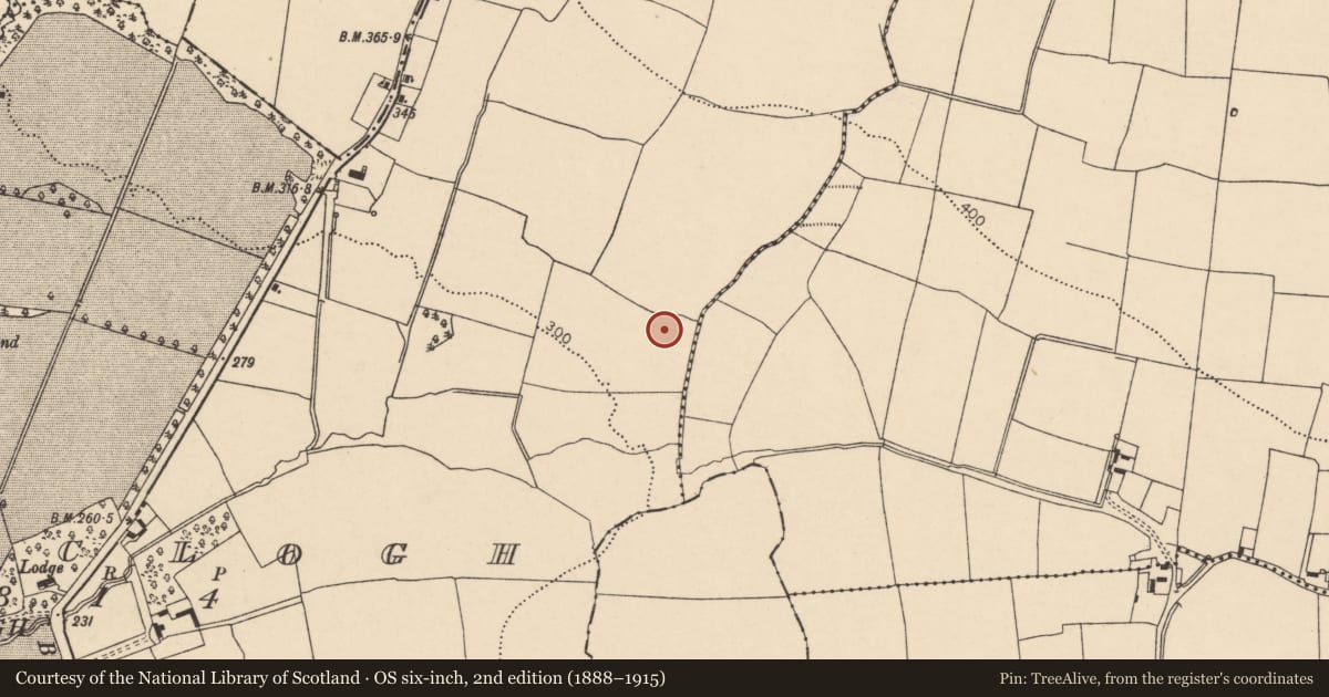 Ordnance Survey six-inch map, 2nd edition (1888–1915) covering the location of Fulacht fia, Ballyclogh, County Cork, with a pin at the register's coordinates