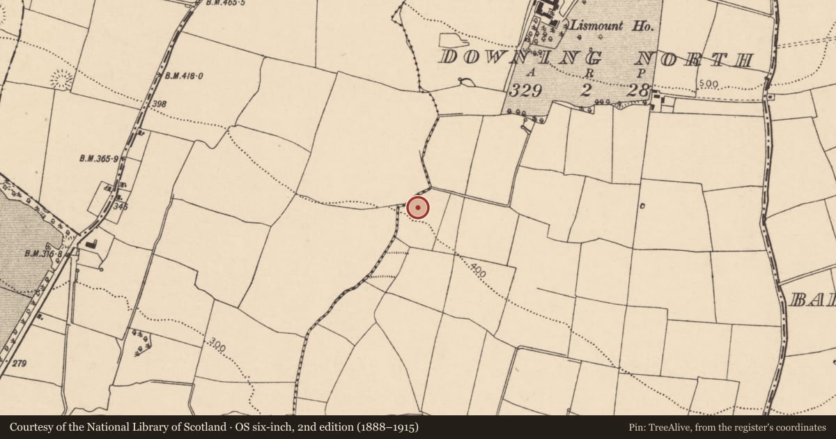 Ordnance Survey six-inch map, 2nd edition (1888–1915) covering the location of Fulacht fia, Downing North, County Cork, with a pin at the register's coordinates