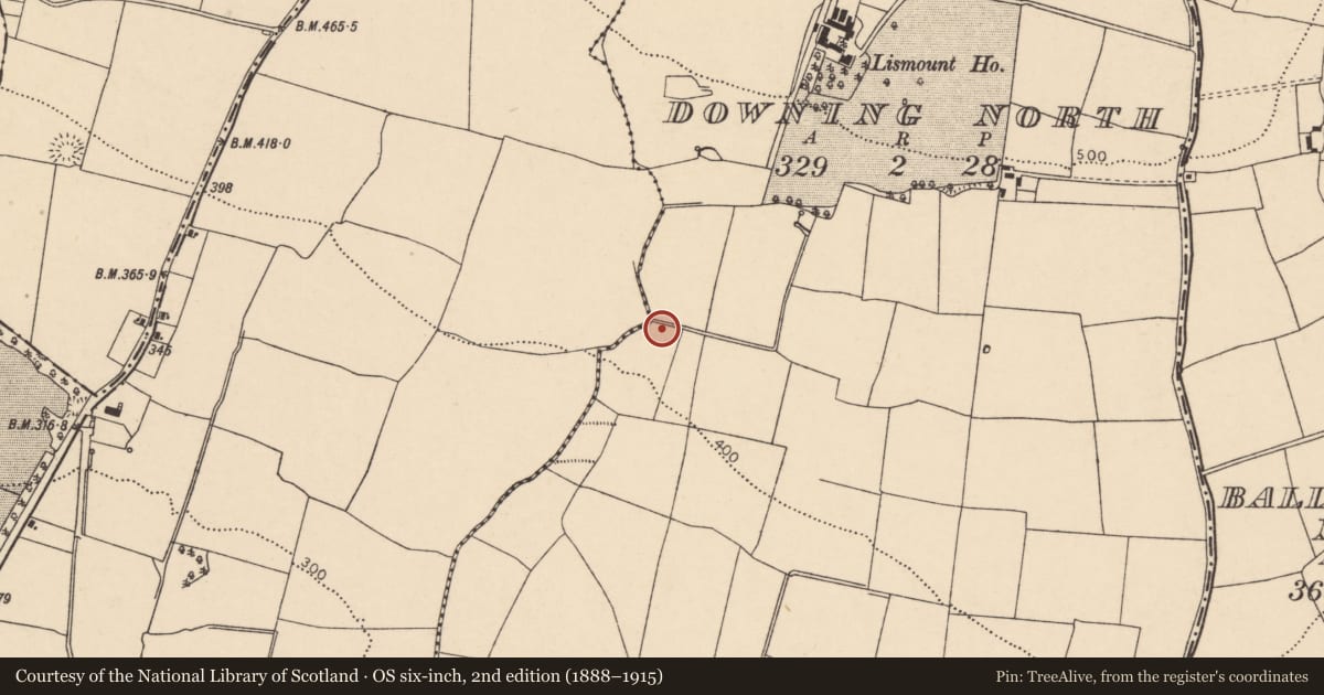 Ordnance Survey six-inch map, 2nd edition (1888–1915) covering the location of Fulacht fia, Downing North, County Cork, with a pin at the register's coordinates