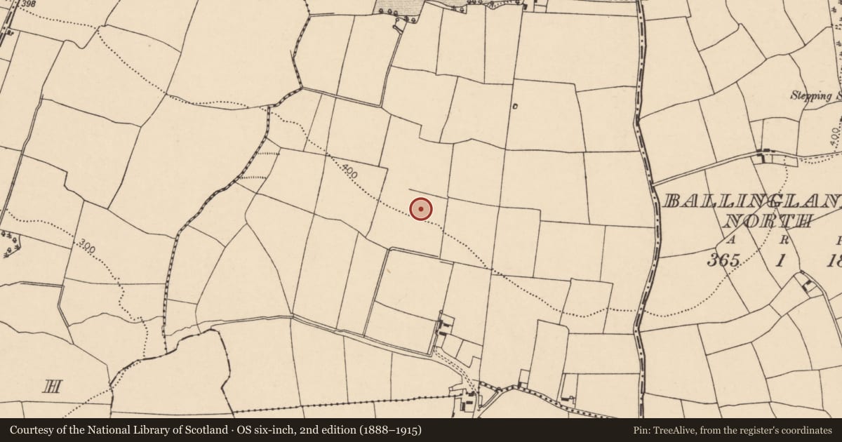 Ordnance Survey six-inch map, 2nd edition (1888–1915) covering the location of Fulacht fia, Downing North, County Cork, with a pin at the register's coordinates