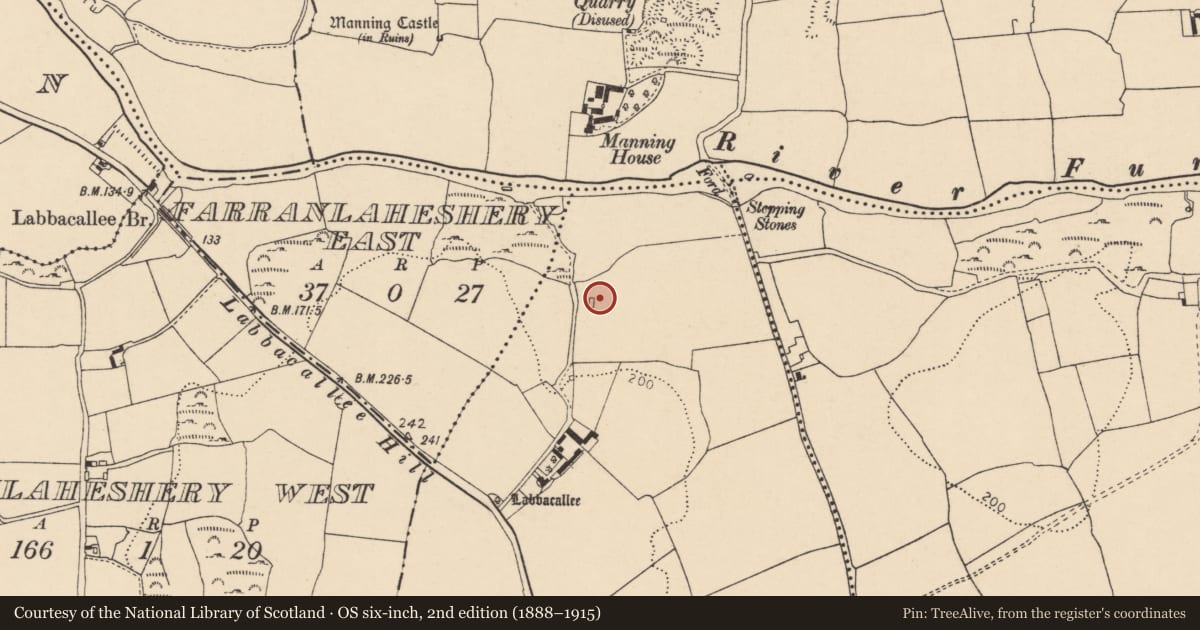 Ordnance Survey six-inch map, 2nd edition (1888–1915) covering the location of Country house, Labbacallee, County Cork, with a pin at the register's coordinates