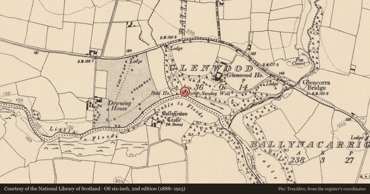 Ordnance Survey six-inch map, 2nd edition (1888–1915) covering the location of Ritual site - holy well, Glenwood, County Cork, with a pin at the register's coordinates