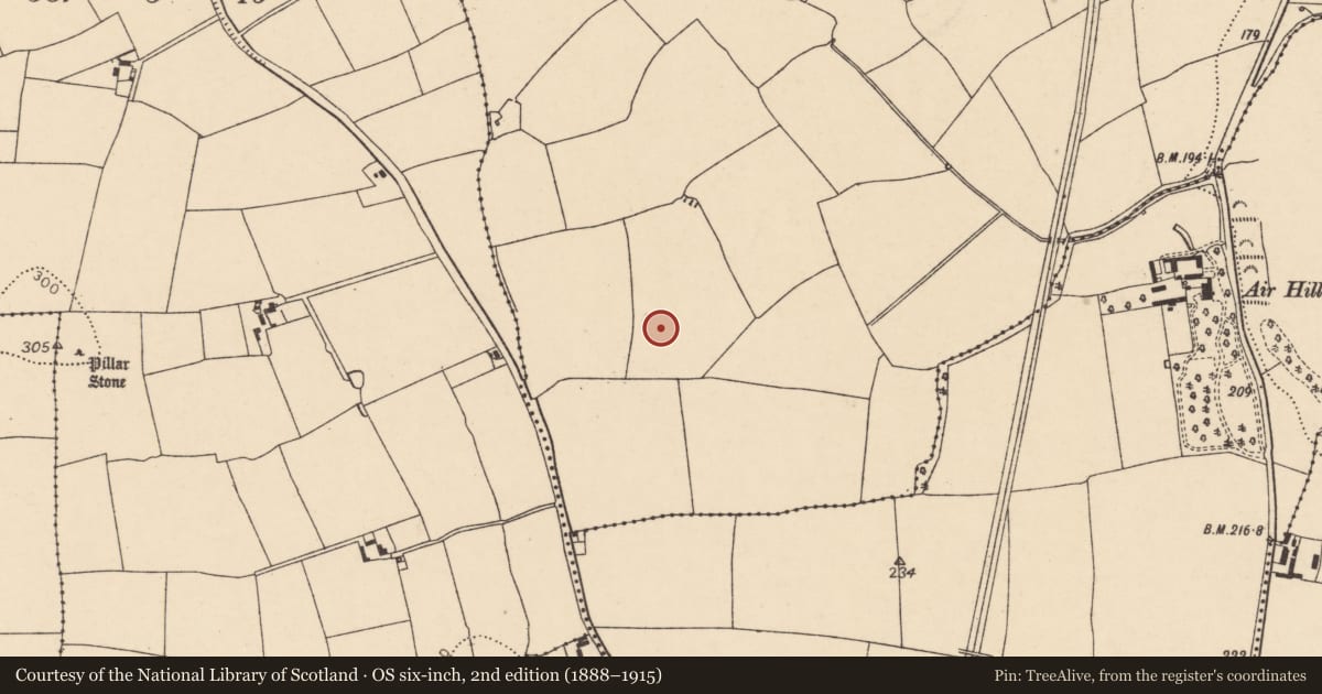 Ordnance Survey six-inch map, 2nd edition (1888–1915) covering the location of Enclosure, Ballynamona (Fermoy By., Glanworth Par.), County Cork, with a pin at the register's coordinates