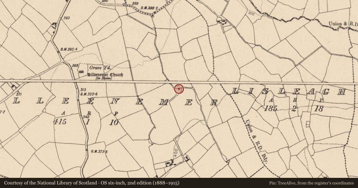 Ordnance Survey six-inch map, 2nd edition (1888–1915) covering the location of Fulacht fia, Killeenemer, County Cork, with a pin at the register's coordinates