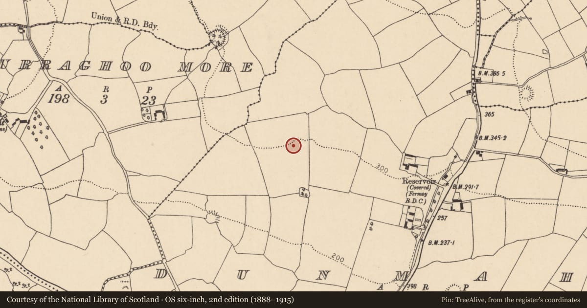 Ordnance Survey six-inch map, 2nd edition (1888–1915) covering the location of Fulacht fia, Dunmahon, County Cork, with a pin at the register's coordinates