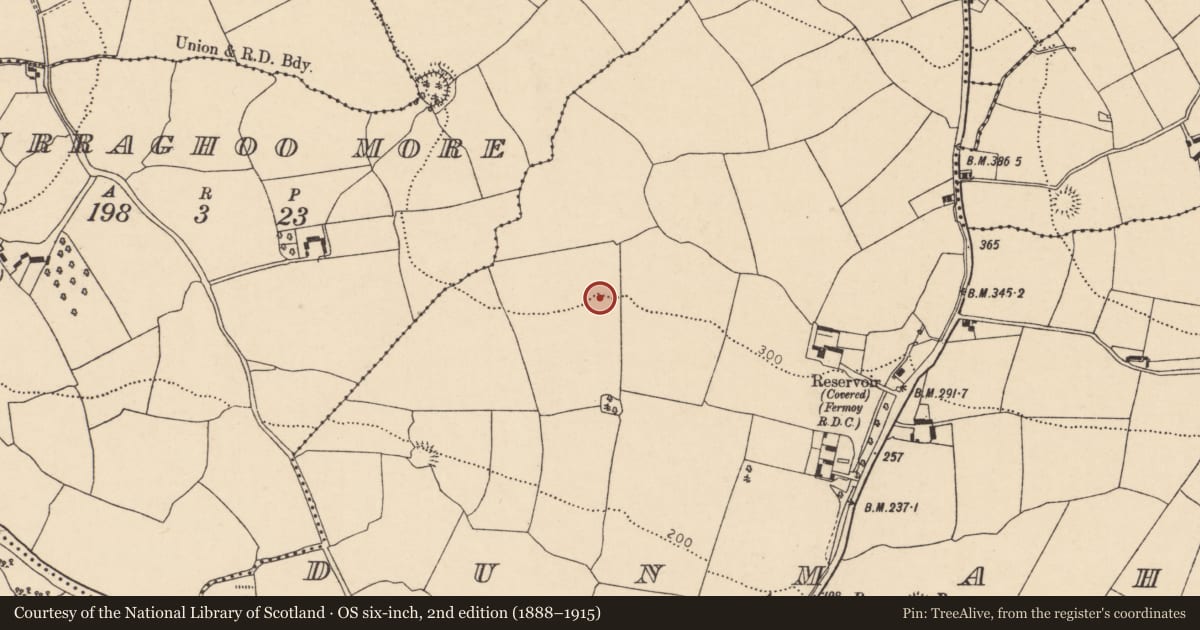 Ordnance Survey six-inch map, 2nd edition (1888–1915) covering the location of Fulacht fia, Dunmahon, County Cork, with a pin at the register's coordinates