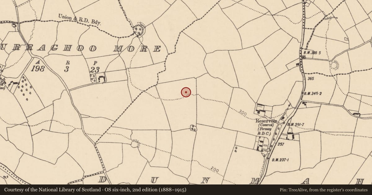 Ordnance Survey six-inch map, 2nd edition (1888–1915) covering the location of Fulacht fia, Dunmahon, County Cork, with a pin at the register's coordinates