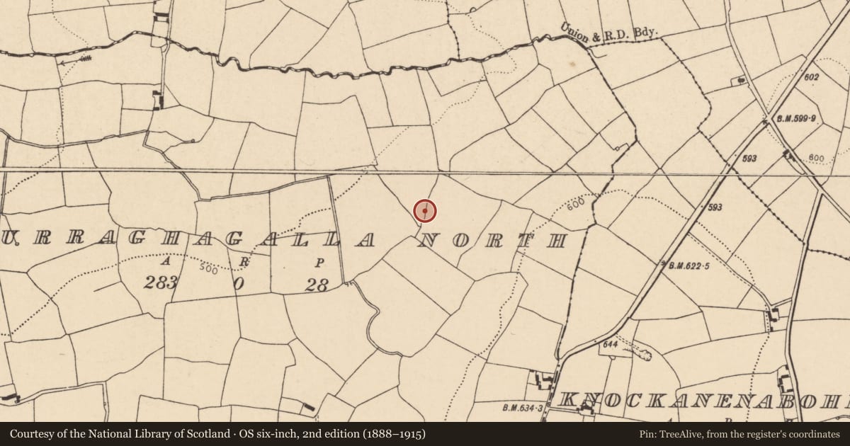 Ordnance Survey six-inch map, 2nd edition (1888–1915) covering the location of Fulacht fia, Curraghagalla North, County Cork, with a pin at the register's coordinates