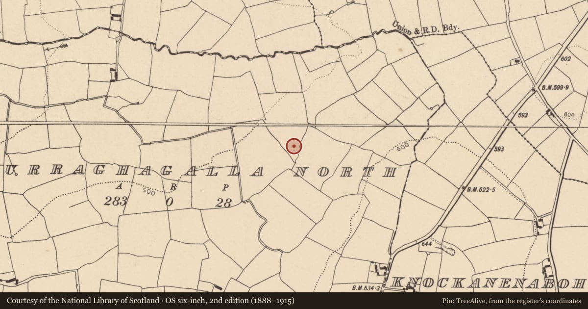 Ordnance Survey six-inch map, 2nd edition (1888–1915) covering the location of Fulacht fia, Curraghagalla North, County Cork, with a pin at the register's coordinates
